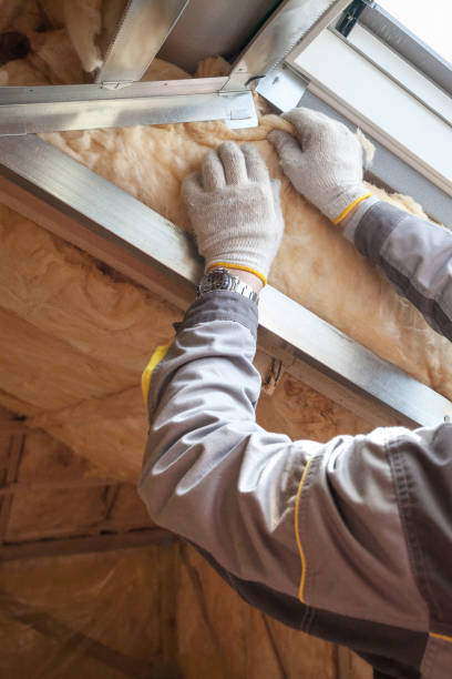 Best Blown-in Insulation in Paris, MO