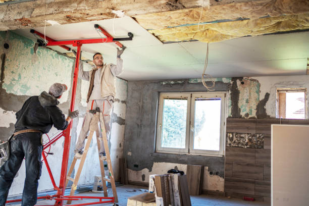 Best Specialized Insulation Services in Paris, MO